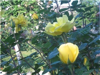 261bdc91-IMG_0537.JPG