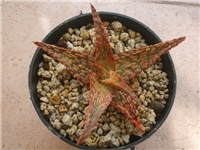 261f3f26-VF.jpg