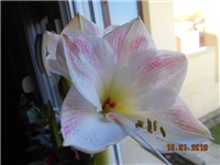 2657da66-DSCN2593.JPG