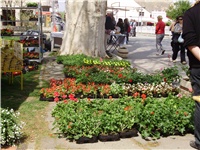 26d22df3-P2150008.JPG