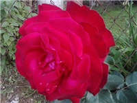 26f43ed6-P050614_19.27.jpg