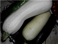 27524b4a-DSCI0787.JPG