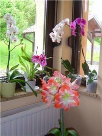 27bee36f-DSC07075.JPG