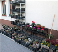 29641052-004.JPG