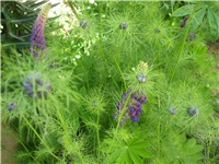 299784ab-IMG_3884.jpg
