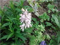 29fc078b-P150614_17.10.jpg