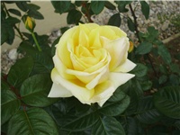 2af5876e-PA020145.JPG