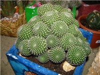2afa2172-IMG_2714.jpg