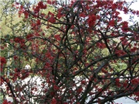 2b9bb1de-DSCF5725.jpg