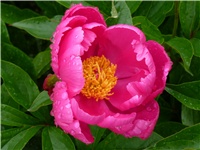 2c91ad7a-P1040565.JPG