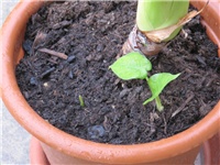 2daba4e9-sshot-2012-09-20-19-52-51.jpg