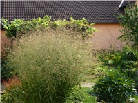 2de5ddf6-P1040189.JPG
