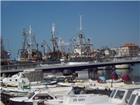2dea5711-101_1340.jpg