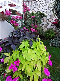2edce231-DSC05821.JPG