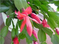 308f6d4f-25.jpg