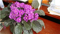 310fee97-DSC00134.JPG