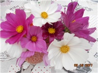 314591ef-DSCN2293.JPG