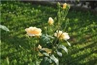 3185ba08-5.6..030.jpg