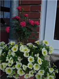 3280758d-DSC08053.JPG