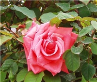 32ab2cca-3462978814_5b5f569fe6_o.jpg