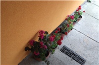 32cacf38-Picture.jpg