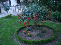 32e13522-DSC08013.JPG