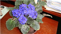 32f5359a-DSC00133.JPG