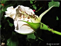 33071b02-IMG_4039.JPG