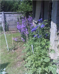 33ac558c-IMG0167A.jpg
