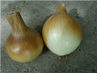340ffb69-DSCI2301.JPG