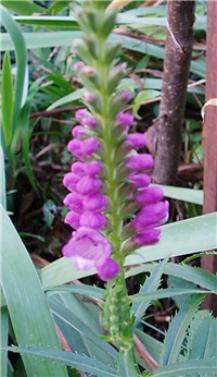 3420a66d-P1010171a.jpg