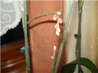 353c06c8-DSC05906.JPG
