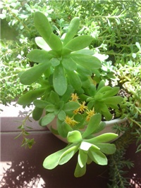 3547ca35-P19-05-13_13.00.JPG
