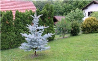 361d8baa-011.JPG
