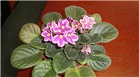 36234a37-DSC00126.JPG