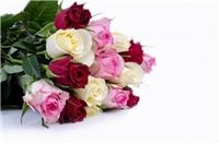 36fa497a-welche-blumen-valentinstag-bedeutung-rosenstrauss-rote-rosa-weisse-rosen.jpg