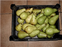 370d0b2e-DSCI0093.JPG
