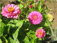 372e8747-IMG_4376.jpg