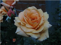 3790f9f2-IMG_0928.JPG