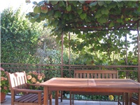 37b1c7cd-IMG_0061.JPG