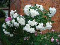 389f76d9-DSC06215.JPG
