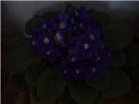 39cc755d-PICT0262.JPG