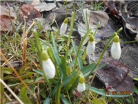 3a0b9783-DSCN2729.JPG