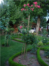 3a11d681-DSC08051.JPG