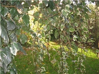 3aa34fa4-IMG_0050.JPG