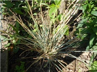 3ab1c94a-DSCN0646.JPG