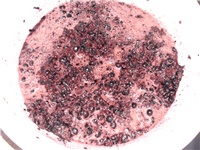 3afaf73b-DSCI0753.JPG