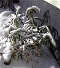3b3f4613-df.jpg