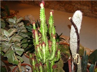 3b5e6a65-IMG_2755.jpg