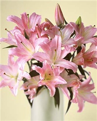 3c4d2f76-flower4_l1.jpg